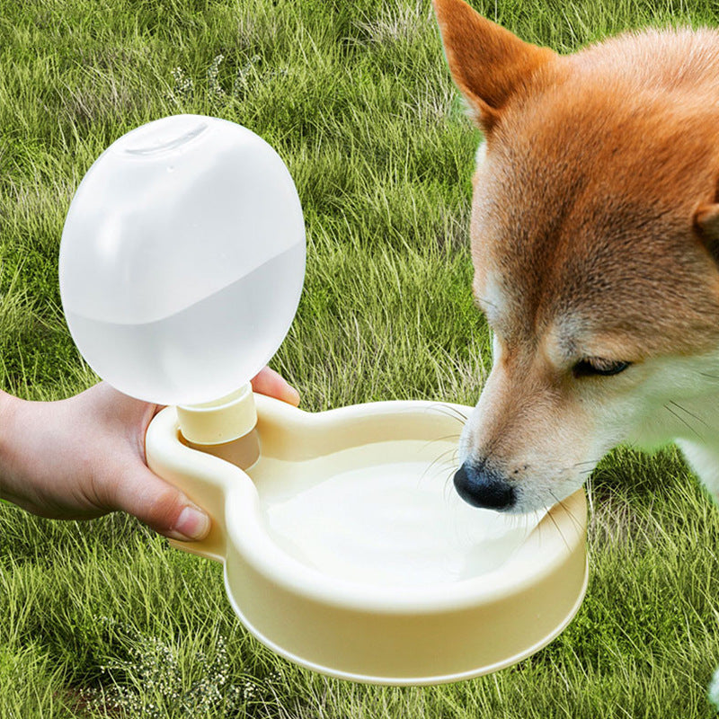 Portable 500ml Pet Water Bottle-1