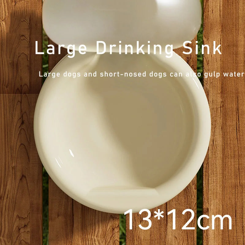 Portable 500ml Pet Water Bottle-3