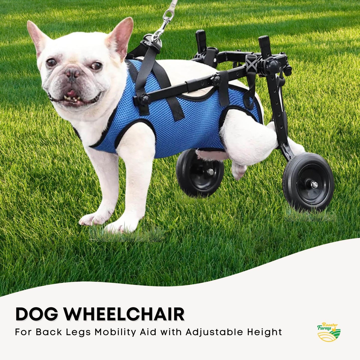 Rooster Farms Little Dog Breed Wheelchair - Back Hind Legs Adjustable Mobility Aid-2