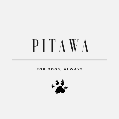 Pitawa